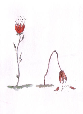 Malt illustrasjon av en levende og en vissen blomst.